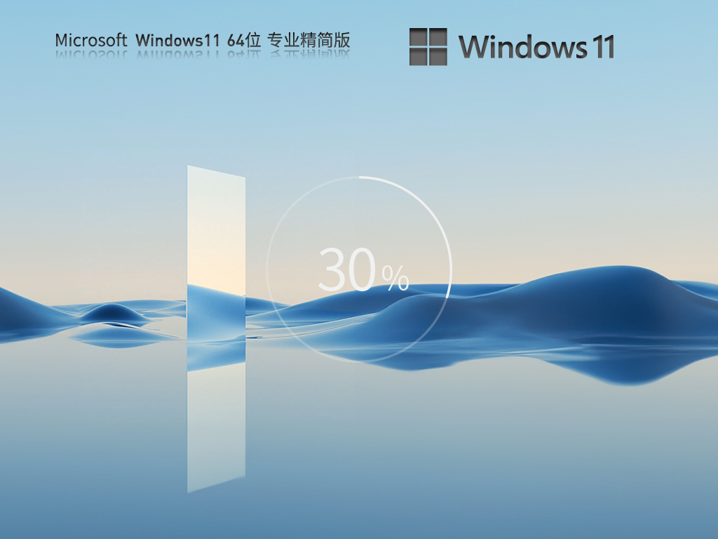 系统之家Windows11 22H2 64位 专业精简版