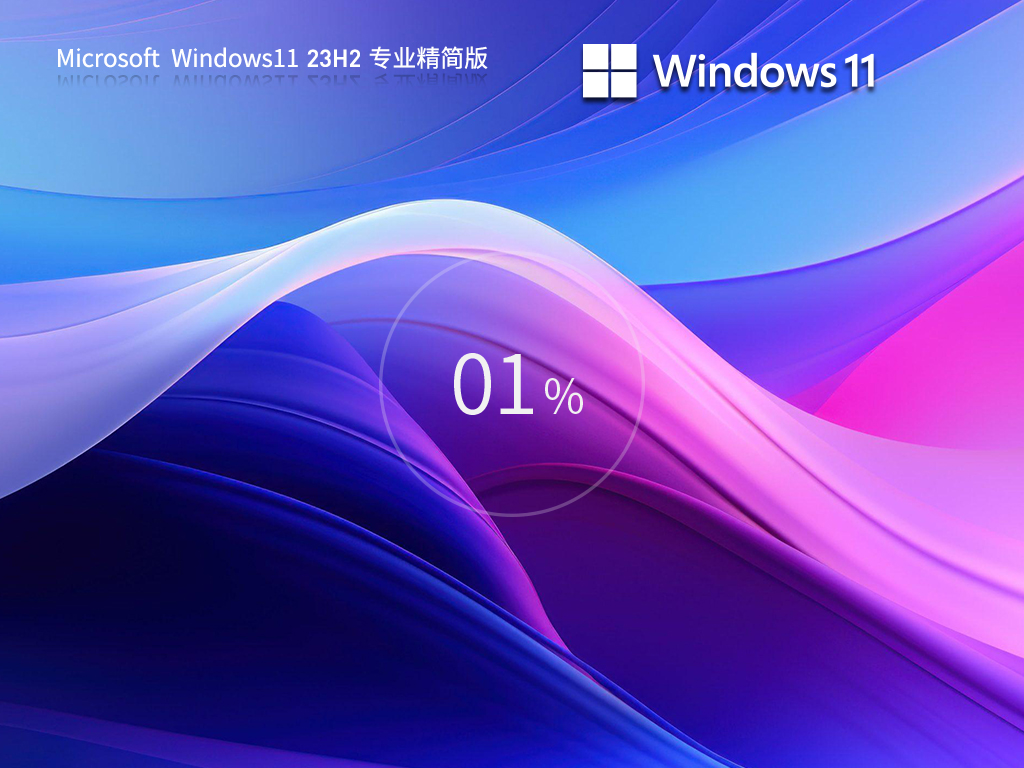 雨林木风Windows11 23H2专业精简版64位系统