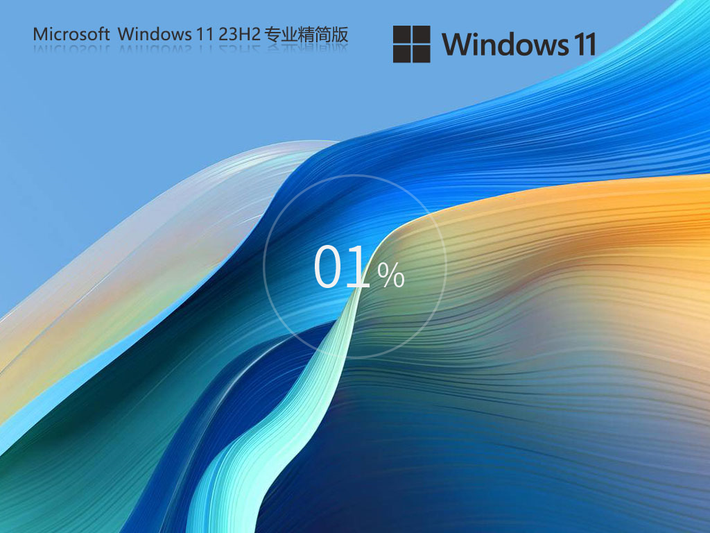 技术员联盟Windows11 23H2 X64 专业精简版