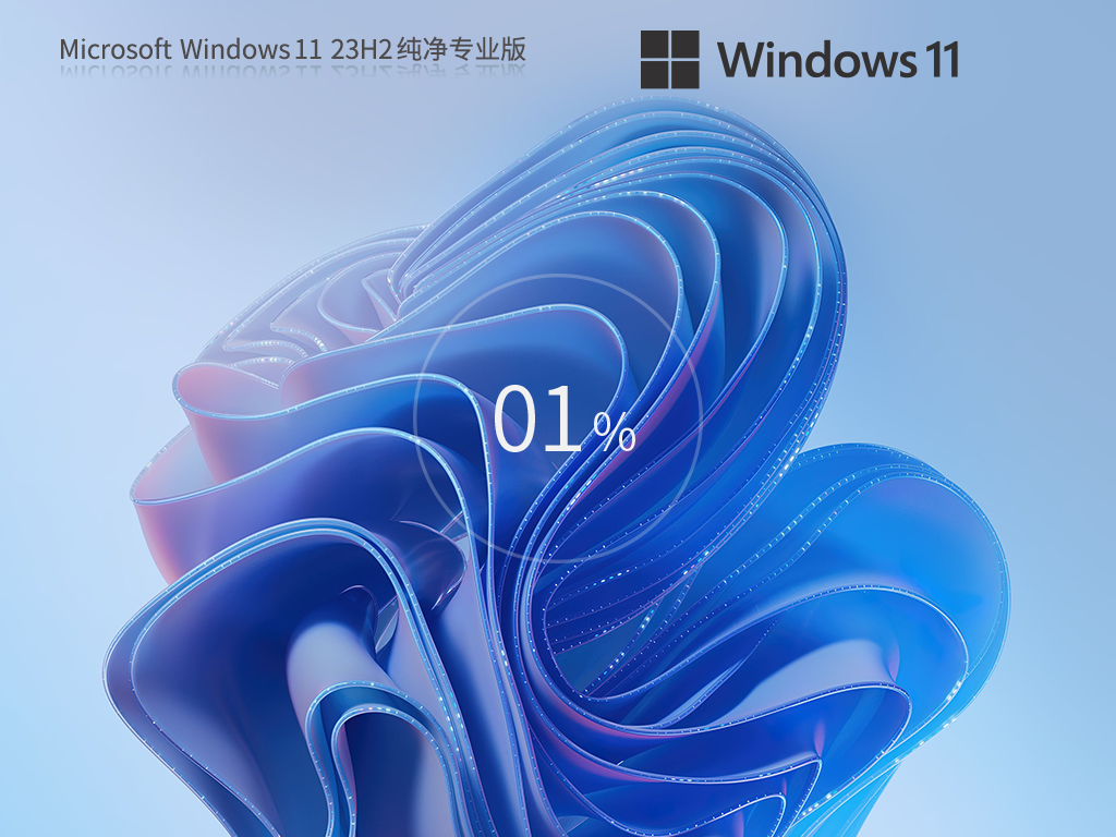 萝卜家园 Win11 23H2 64位 专业纯净版