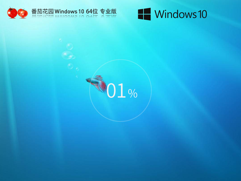 番茄花园 Windows10 22H2 64位 官方专业版