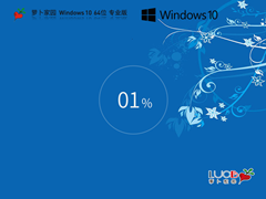 萝卜家园 Windows10 22H2 64位 全新专业版