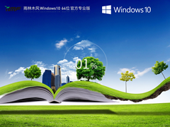 雨林木风 Windows10 22H2 64位 专业版镜像iso